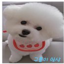 당진 [삽교호 놀이동산] 방문후기