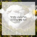 탑바디핏