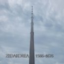 테스트코리아 이미지