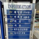 코스모스호텔 | 강원도 동해 숙소 코스모스 호텔 조식 내돈내산 후기