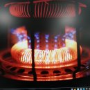 바보탱이 이미지