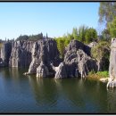 석림4로 이미지