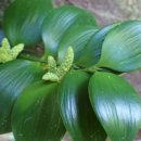 죽백4로 이미지