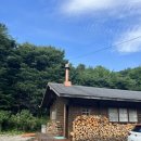 거목 통나무집 이미지