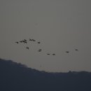 강회농장 이미지