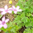 근성농장 이미지