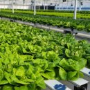 옥토하우스 이미지