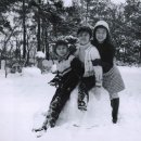 박정희로-31 이미지