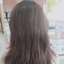 유스헤어크리닉