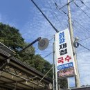 하동재첩 섬진강 | 하동뷰맛집 섬진강재첩국수 내돈내산 후기