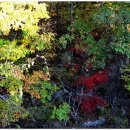 배내골산장 이미지