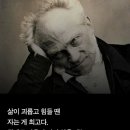더자라 Daum카페