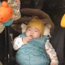 영유아검진(문소아과)/ 아기매트 본베베 내돈내산 후기