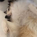 쿠치로 | 쿠치로 방문후기