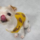 의신떡방앗간 이미지