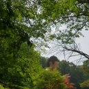 [번개] 8월29일(금) 심학산둘레길(DMZ평화의길5코스) 이미지