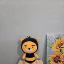 유노이아 | 대전 슈가링 브라질리언 왁싱 잘하는 곳 유노이아 후기