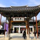 수양빌딩 | 서울 강남 '봉은사(奉恩寺)' - 빌딩 숲 사이에서 만나는 천년 산사의 고요...