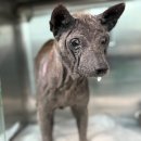 진곡산단5번로 이미지