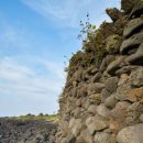 곤을동환해장성 이미지