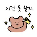 레푸스 경산정평점