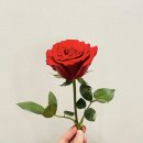 오아시스24 이미지