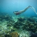 (유)스카이오일 | [세부 자유여행] Day1 | 0.5박 탑스파 입국팩, 막탄 뉴타운, 클럽세부호핑투어 (롱핀 기내반입에 대하여)