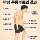 몸매 이미지