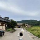민속마을 신창 | [충남아산] 아이랑 외암민속마을 신창댁 숙박 후기(솜사탕 만들기 체험, 시골밥상 등)