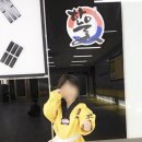 용인대 한울 태권도 이미지