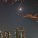 역촌동 59-3 이미지