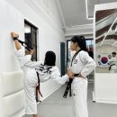 송탄 경희대 태권도 이미지