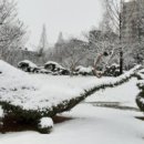 효원동물병원 이미지