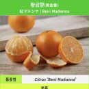 호범농장 이미지