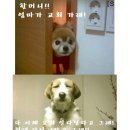 깔깔깔 이미지