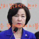정구성변호사법률사무소제이씨앤파트너스 | 우리 엄마도 추曷普면…" 秋 아들 논란, '정유라 사건' 연상