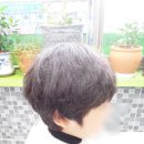 사브라헤어
