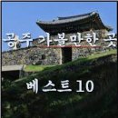 오베스트 이미지