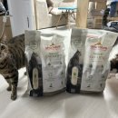 고양이 만족도 높은 100% 카사바모래 알모네이쳐 고양이 모래