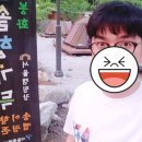 솔향가득 봉화캠핑장 | 봉화 솔향가득 서울캠핑장 후기