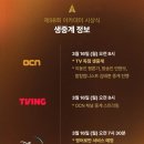 🏆98회 아카데미 시상식 달글🏆 이미지