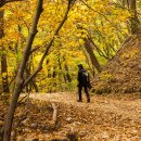 11/12(일) 경주 왕의길 &amp; 경북산림환경연구원/우상 이미지