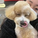그루밍존 이미지