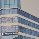 우등급호매실