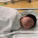 재아가축인공수정소 | 강남차병원 40주3일 유도분만 무통주사 12시간반 자연분만 성공 / 2박3일 4인실 입원 후기