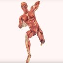 고유 피트니스 이미지