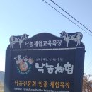 오서목장 네이버블로그