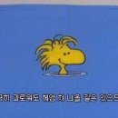 쥼