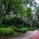 한려대길 이미지