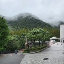금오산유통